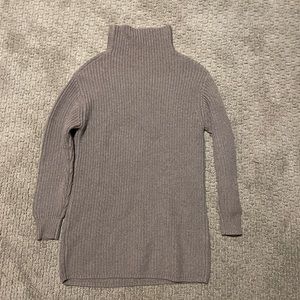 Aritzia turtle neck dress